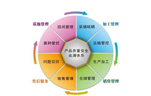 產品追溯係統有哪些公司，是怎樣開發係統的？