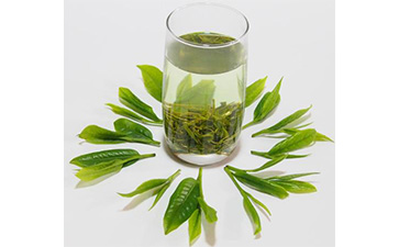 茶葉二維碼榴莲视频APP下载IOS標簽可以帶來哪些優勢價值已經特點?